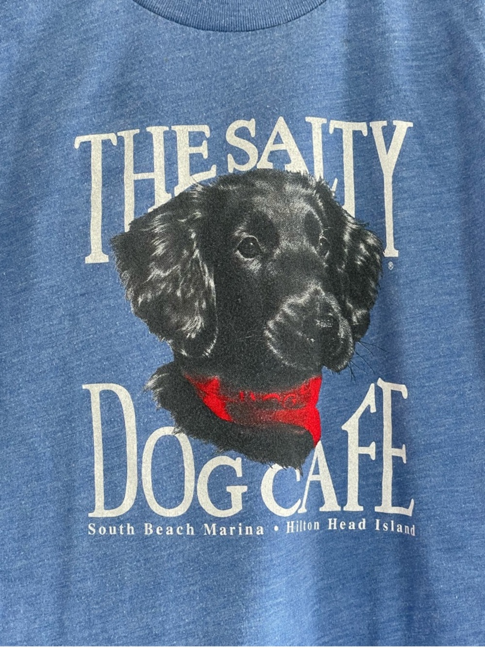 Salty Dog Cafe Hilton Head Blue Dog Graphic Tee Kids Shirt Short Sleeve Size XS - Picture 4 of 5